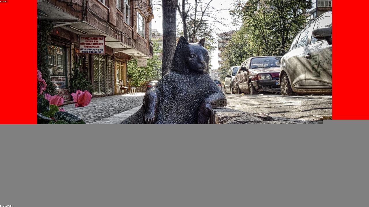 开云体育官网｜75673人见证！迈阿密0-3开门黑：梅西独木难支 孙兴慜助攻（封面配图）